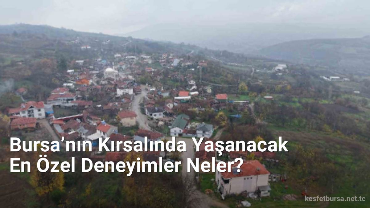 Bursa’nın Kırsalında Yaşanacak En Özel Deneyimler Neler? - kesfetbursa.net.tc
