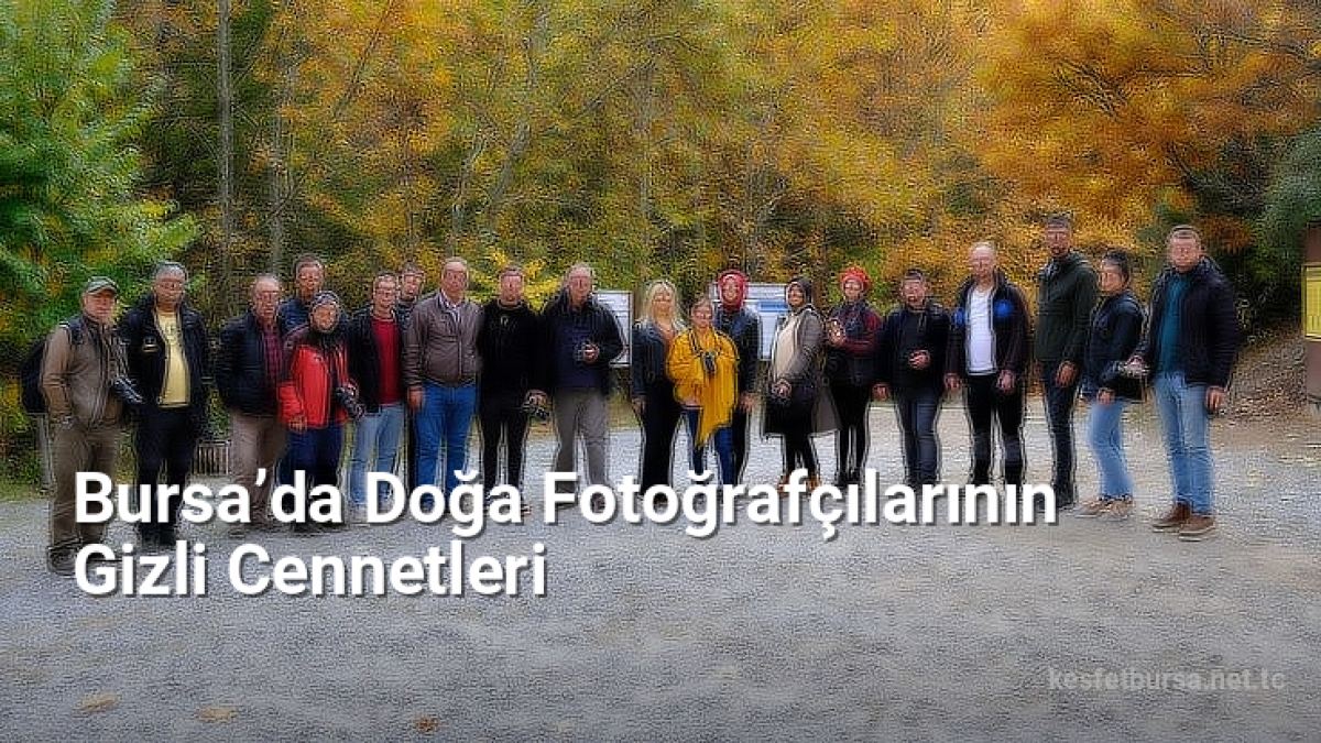 Bursa’da Doğa Fotoğrafçılarının Gizli Cennetleri - kesfetbursa.net.tc